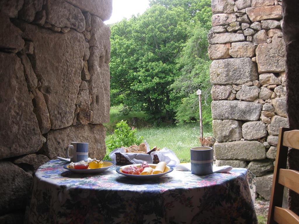 Maison d'hôtes Casas Da Ribeira à Seia Chambre photo